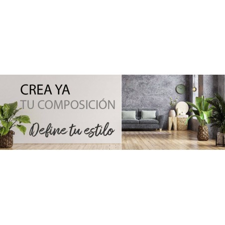 PRUEBA APEX2 MULTIPLES FOTOS